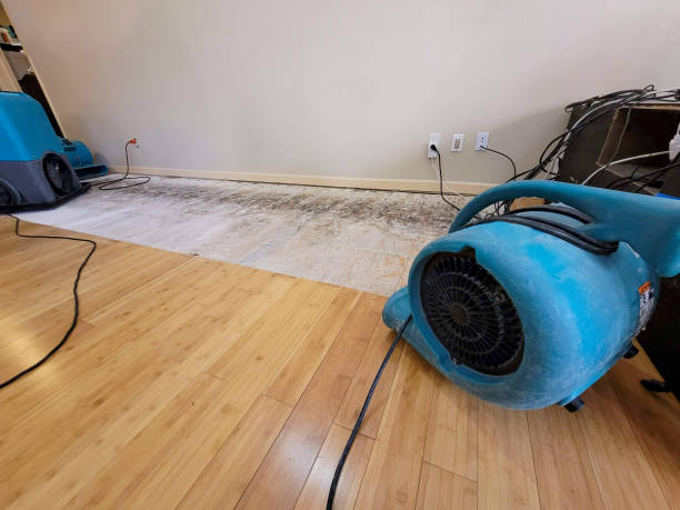 Professional Structural Drying technician working in Camp Hill, PA